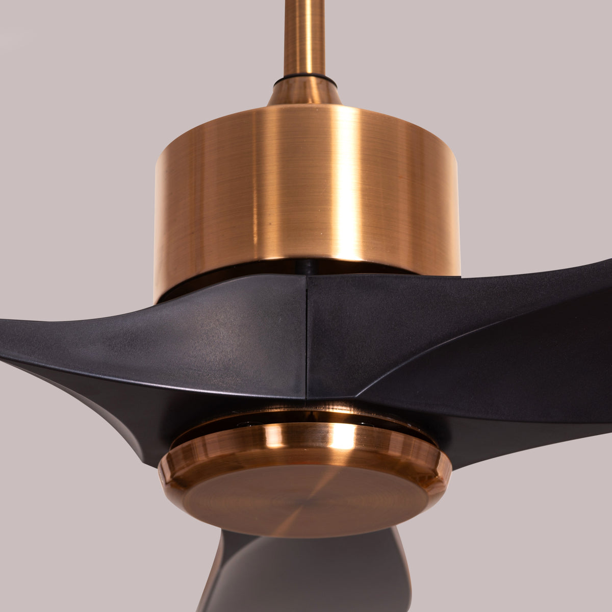 Tiburon (132 cm Span, Matte Gold Finish Metal Body, Black Finish ABS Blades) Ceiling Fan