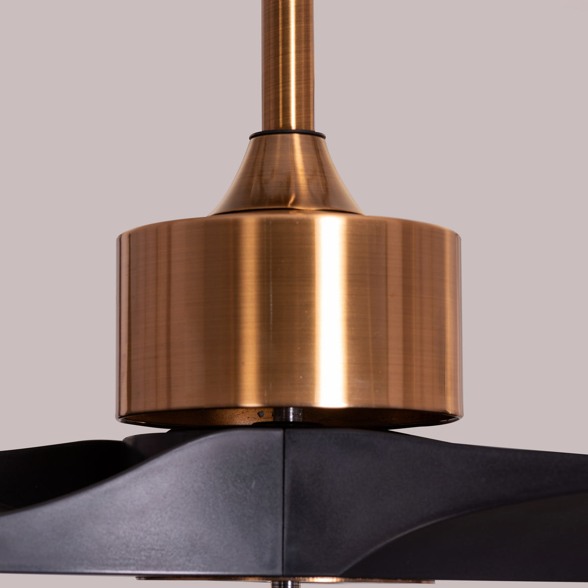 Tiburon (132 cm Span, Matte Gold Finish Metal Body, Black Finish ABS Blades) Ceiling Fan