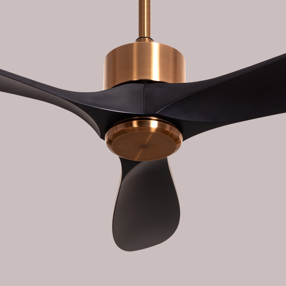 Tiburon (132 cm Span, Matte Gold Finish Metal Body, Black Finish ABS Blades) Ceiling Fan