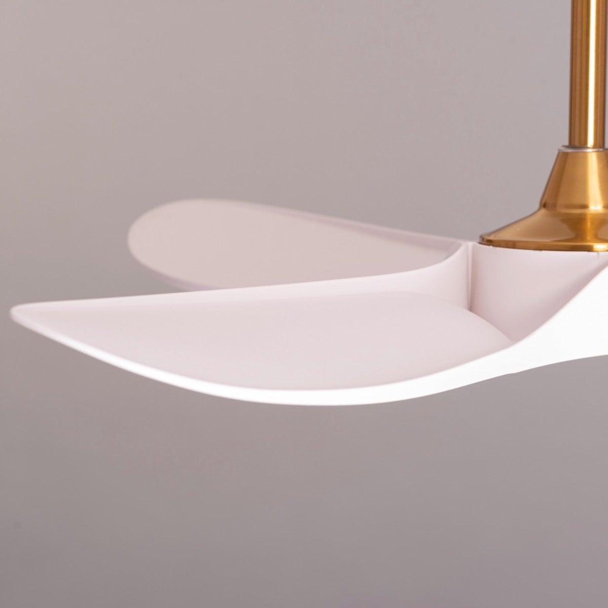 Spin Me Around (132 cm Span, Gold Finish Metal Body, White ABS Blades) Ceiling Fan