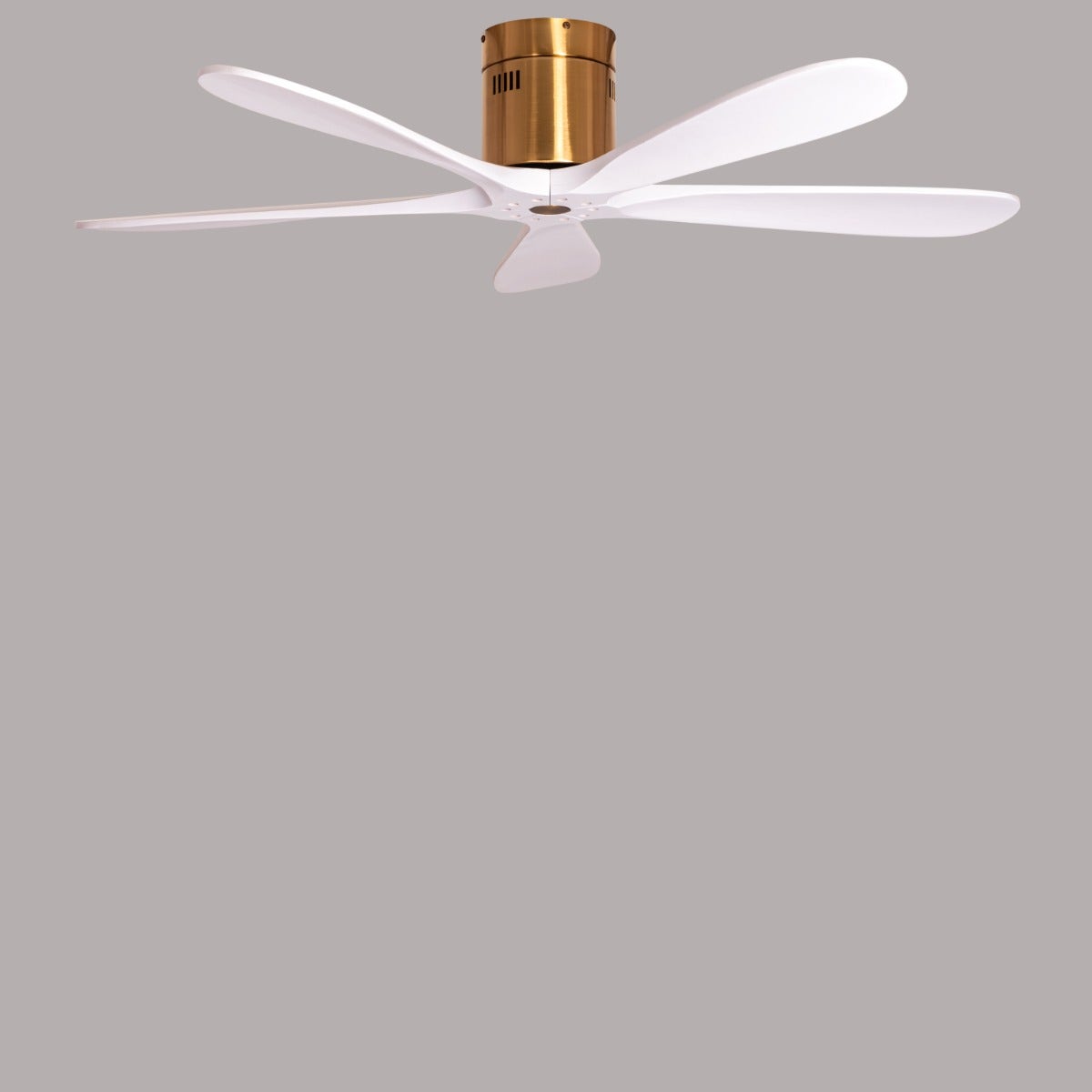 Carmel (132 cm Span, Gold Finish Metal Body, White Finish Wooden Blades) Ceiling Fan