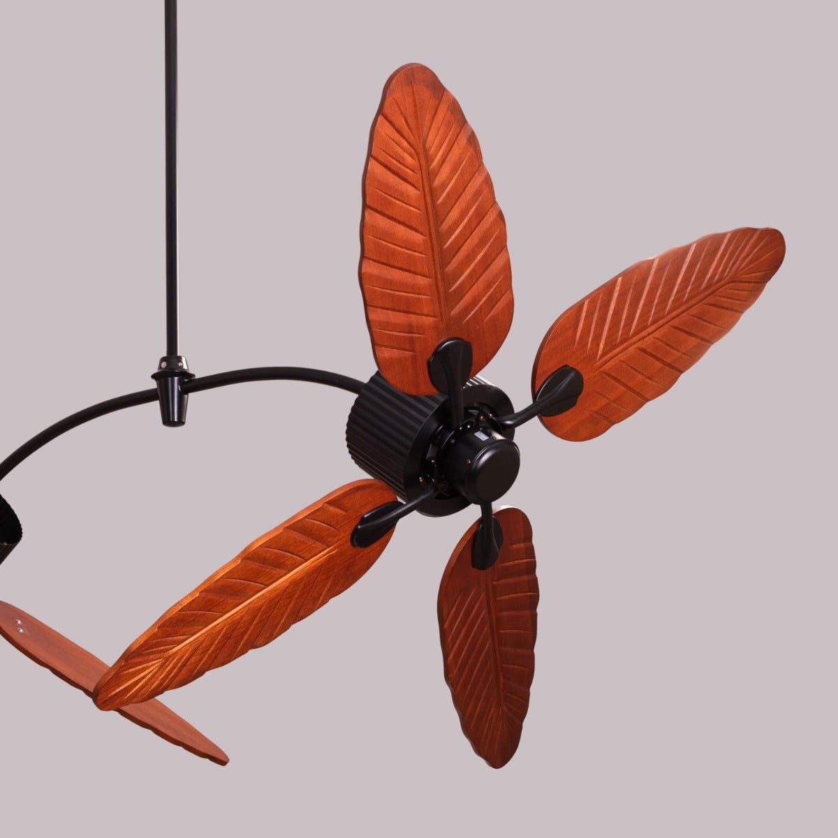 Ruby Hills (130 cm Span, Black Finish Metal Body, Walnut Finish ABS Blades) Ceiling Fan