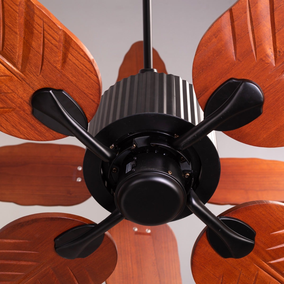 Ruby Hills (130 cm Span, Black Finish Metal Body, Walnut Finish ABS Blades) Ceiling Fan
