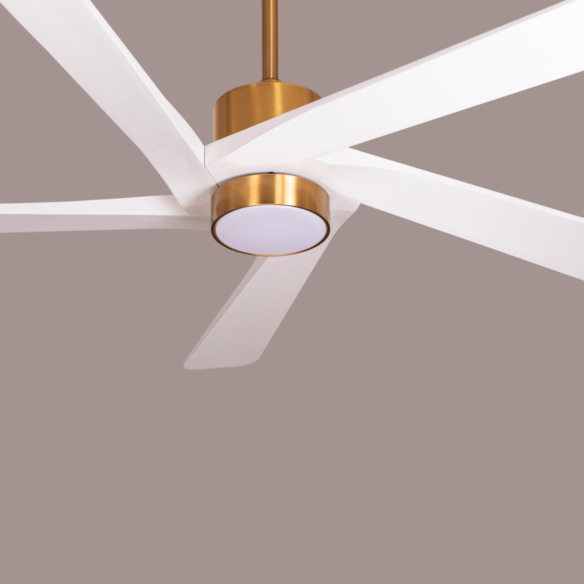 Bangkok Social (140 cm Span, Gold Finish Metal Body, White Finish Wooden Blades) Dimmable LED With Remote Control Ceiling Fan