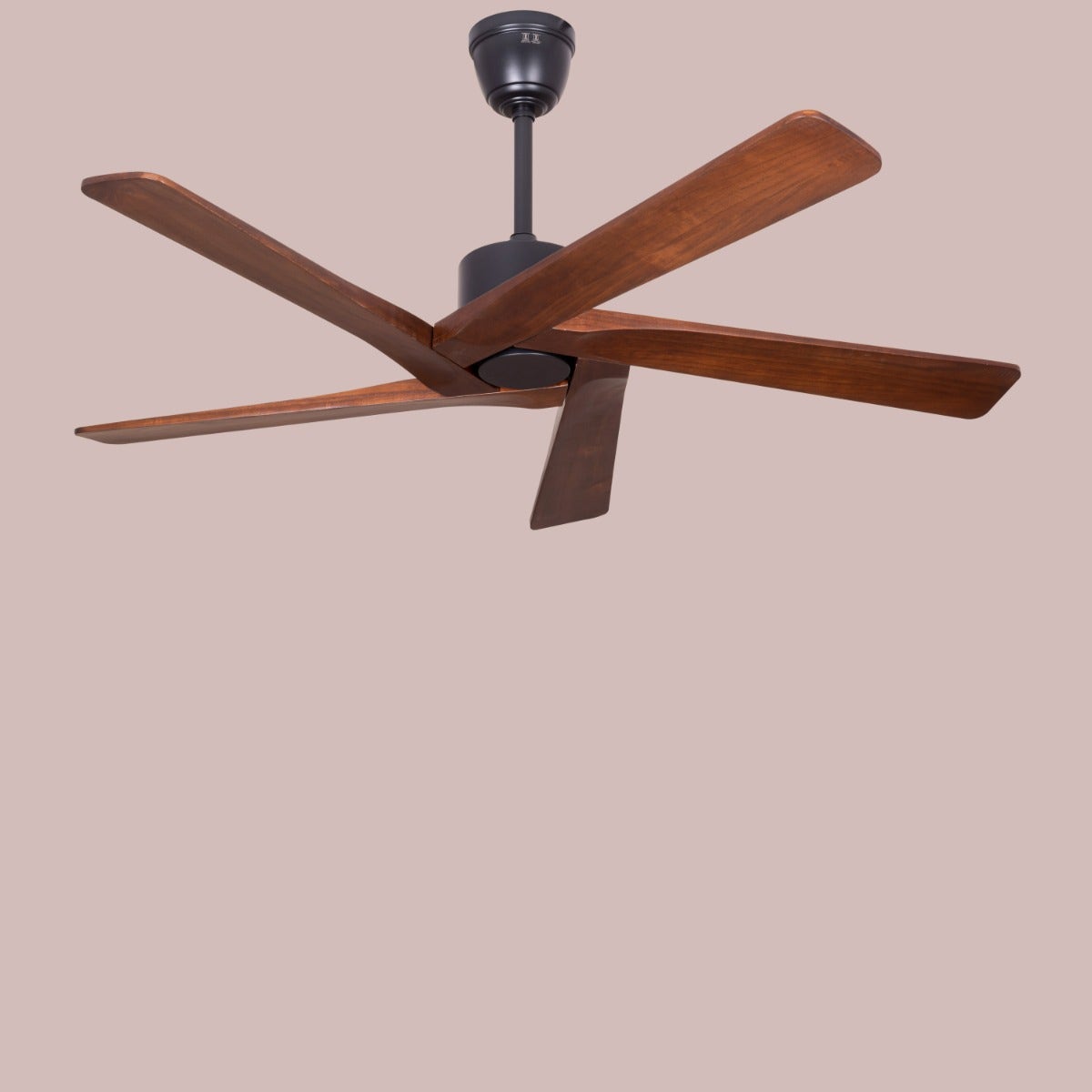 Kensington (137 cm Span, Black Finish Metal Body, Walnut Finish Solid Wood Blades) Ceiling Fan