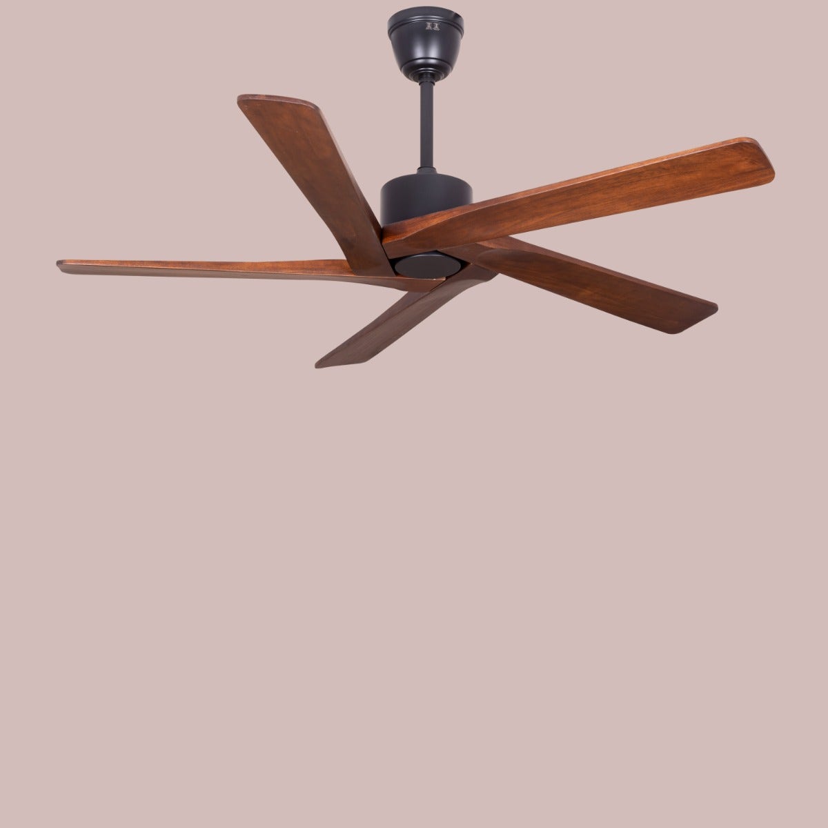 Kensington (137 cm Span, Black Finish Metal Body, Walnut Finish Solid Wood Blades) Ceiling Fan
