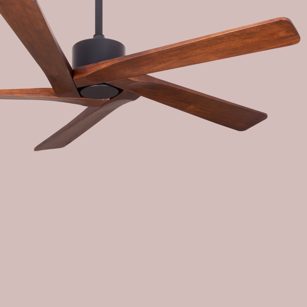 Kensington (137 cm Span, Black Finish Metal Body, Walnut Finish Solid Wood Blades) Ceiling Fan