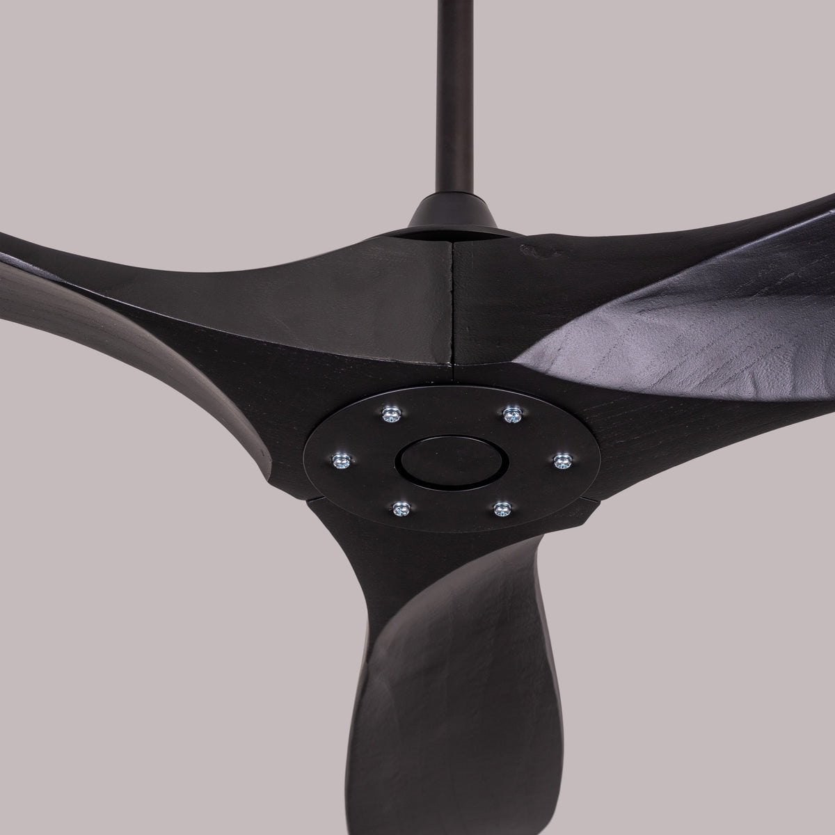 Devil's Advocate (132 cm Span, Black Metal Body, Black Finish Solid Wood) Designer Ceiling Fan