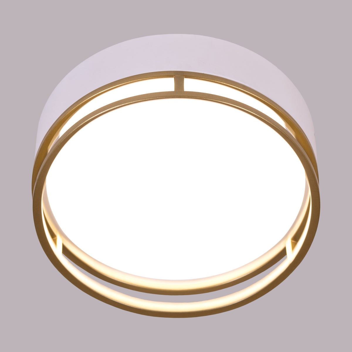 Want You Around (Round, White, Built-In LED) Ceiling Light