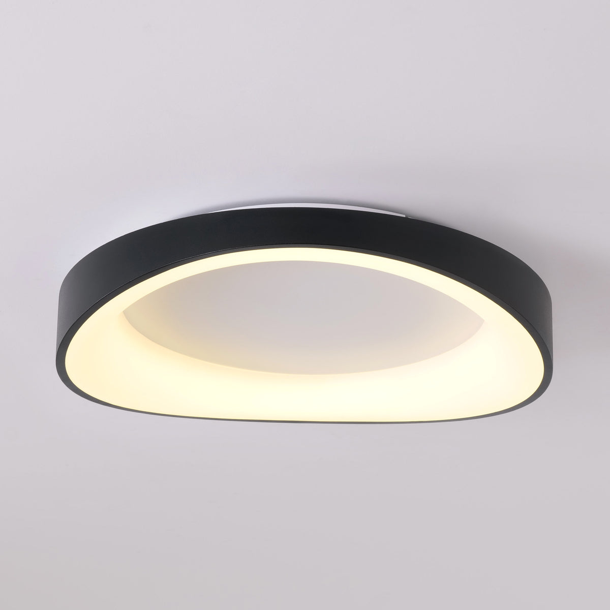With Out A Doubt (Black) Ceiling Light
