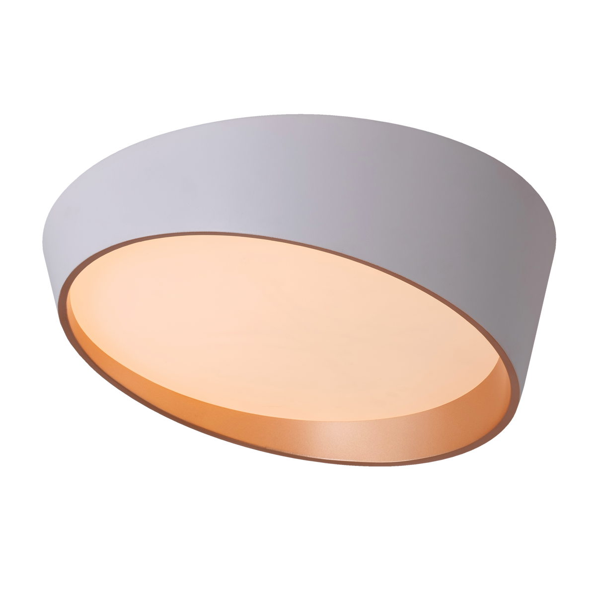 Hidden Ace (White) Ceiling Light