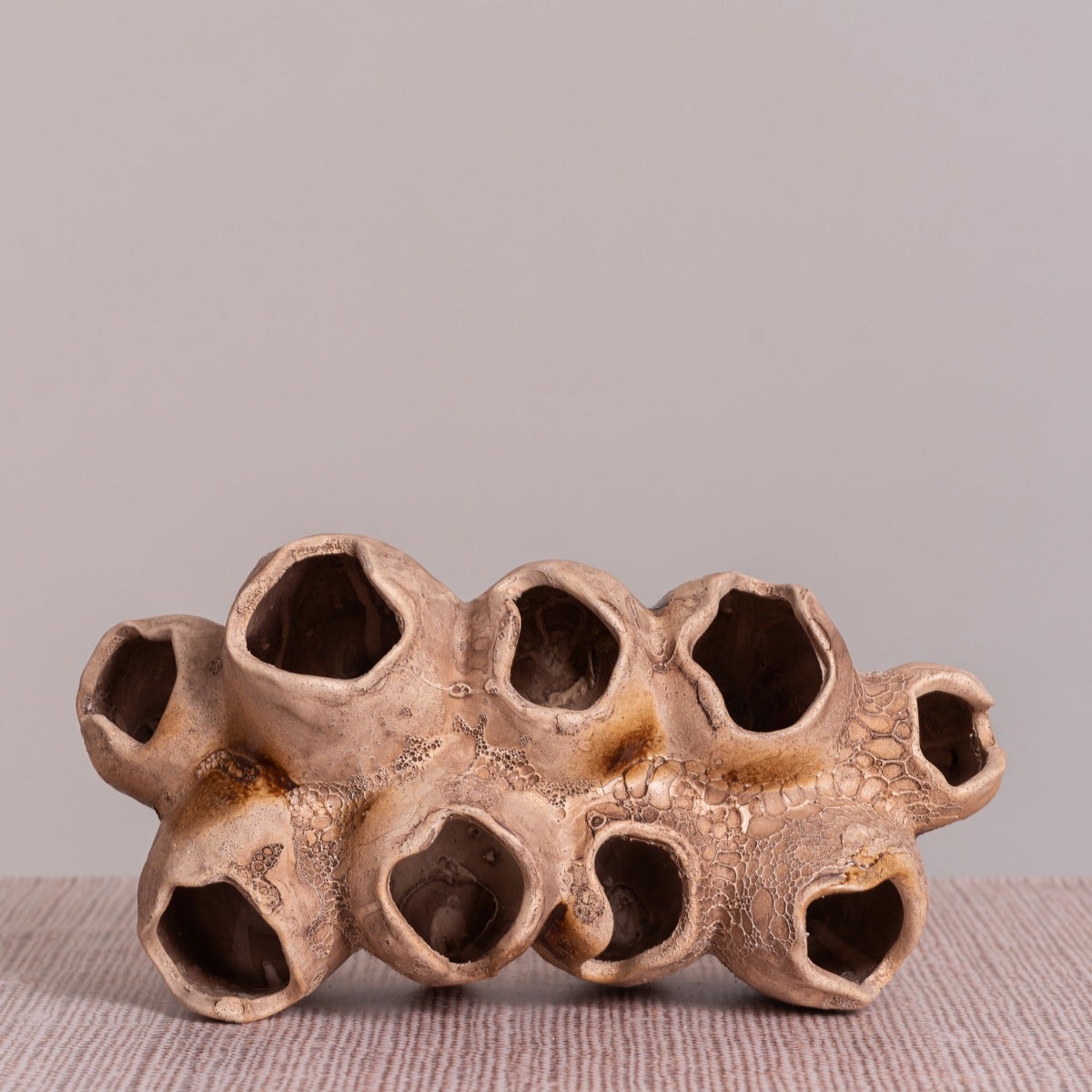 Lost World (Brown) Home Decor