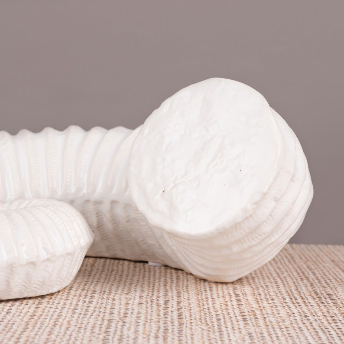 Snails Pace (White) Ceramic  Home Decor