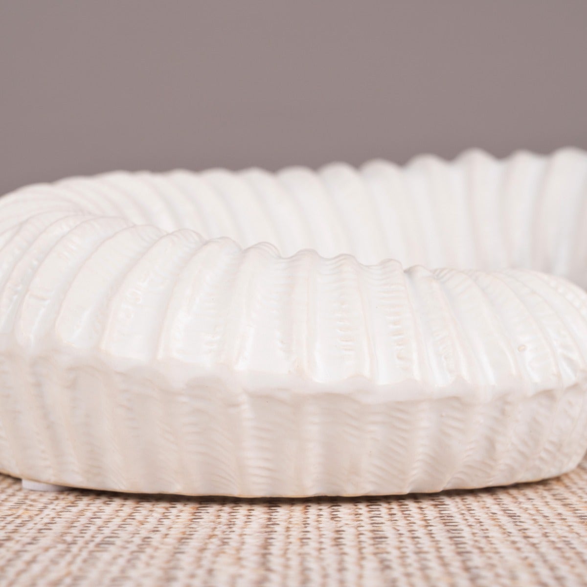 Snails Pace (White) Ceramic  Home Decor