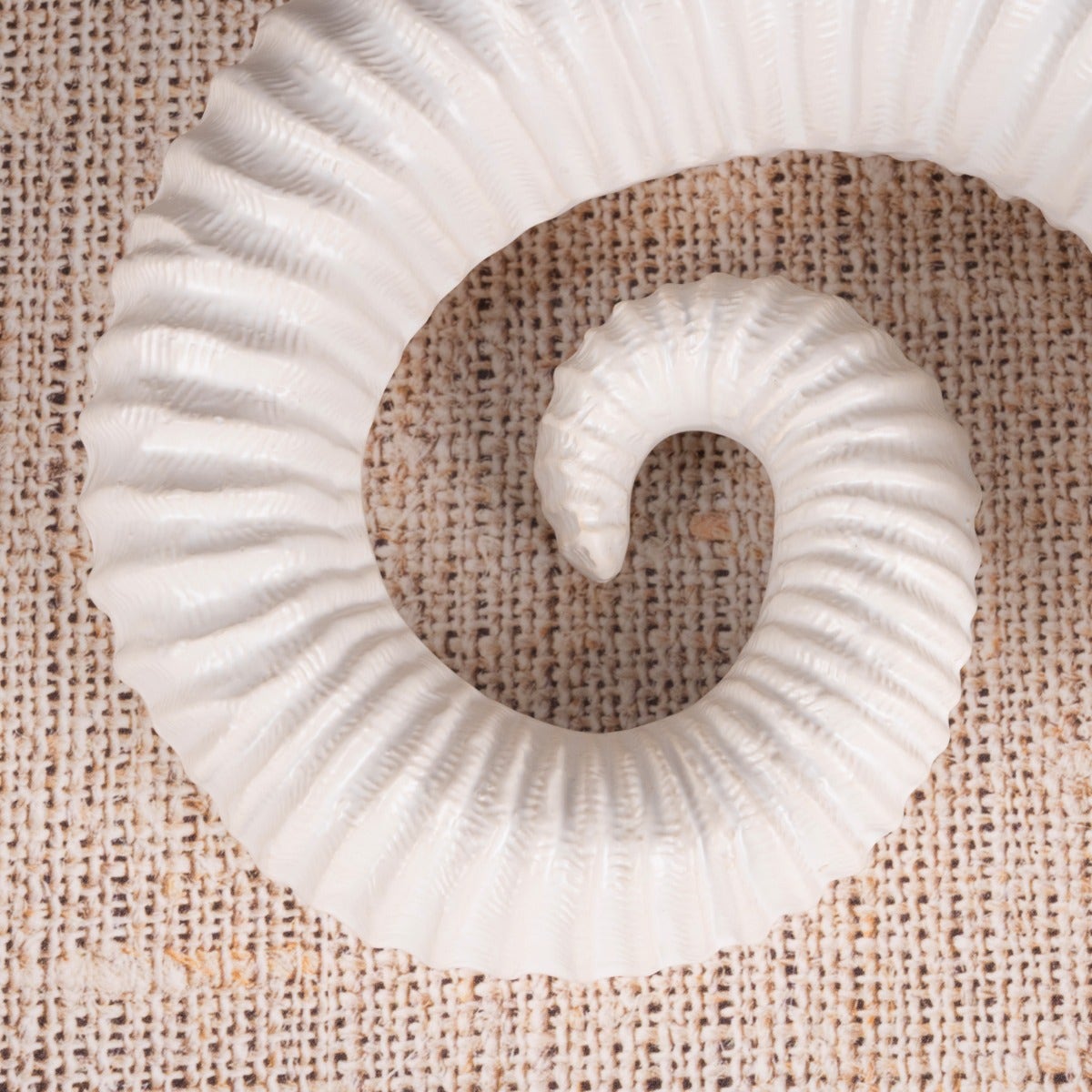 Snails Pace (White) Ceramic  Home Decor