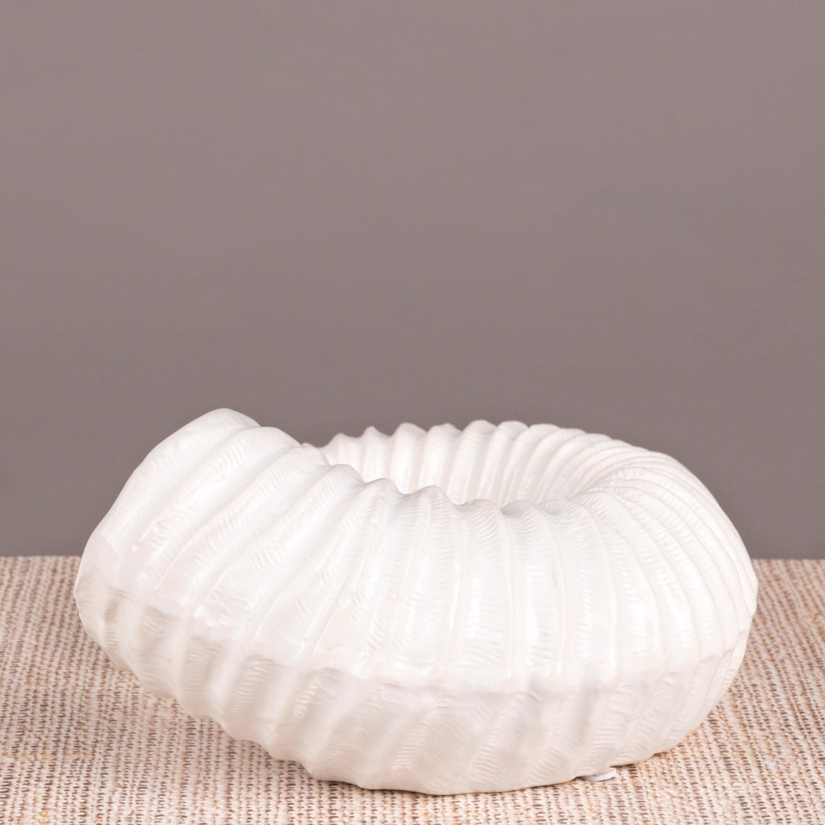 Snails Pace (White) Ceramic  Home Decor