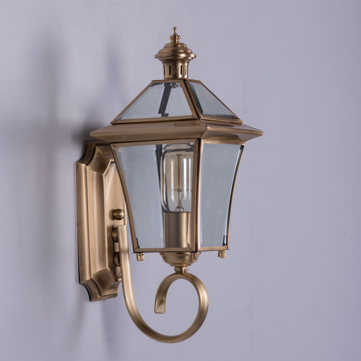 Moth To A Flame (Copper) Outdoor Shade Area Wall Light