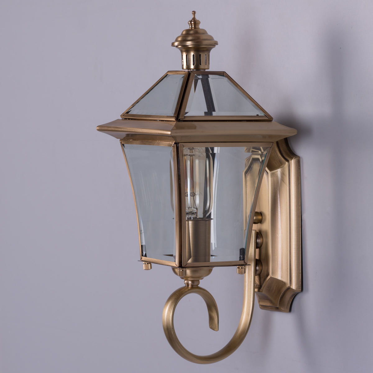 Moth To A Flame (Copper) Outdoor Shade Area Wall Light