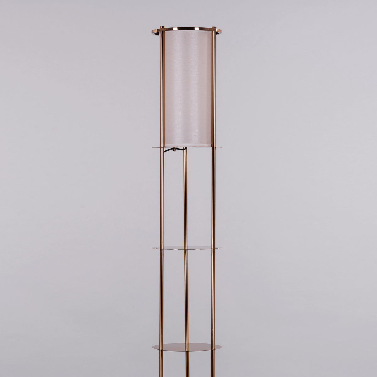 Shelf Help (Gold) Floor Lamp