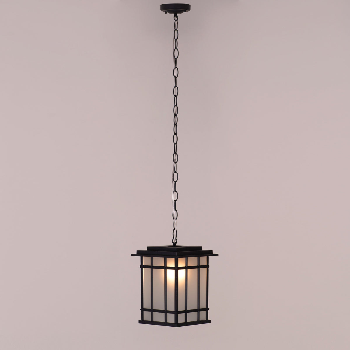 Looking Away (Black) Outdoor Pendant Light