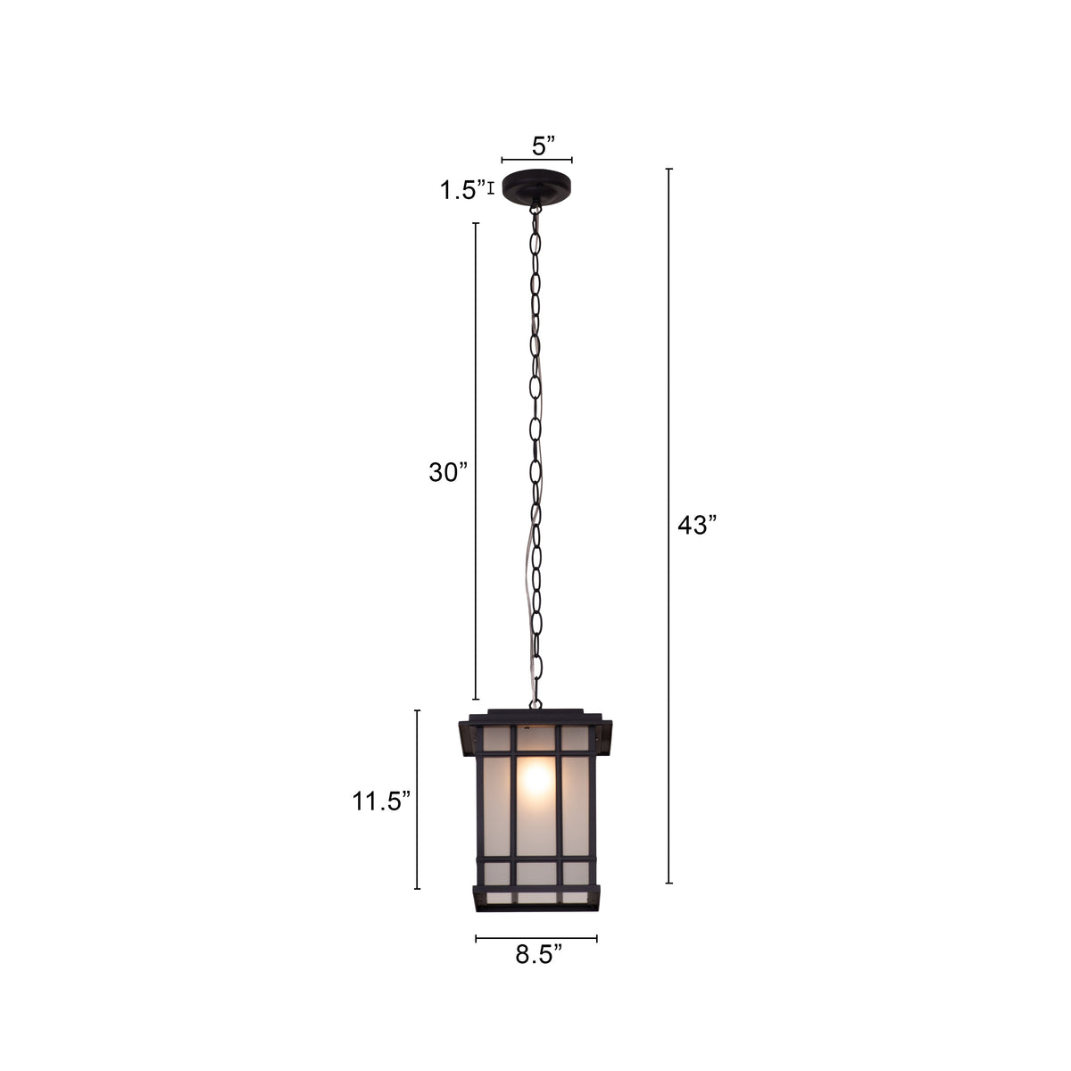 Looking Away (Black) Outdoor Pendant Light