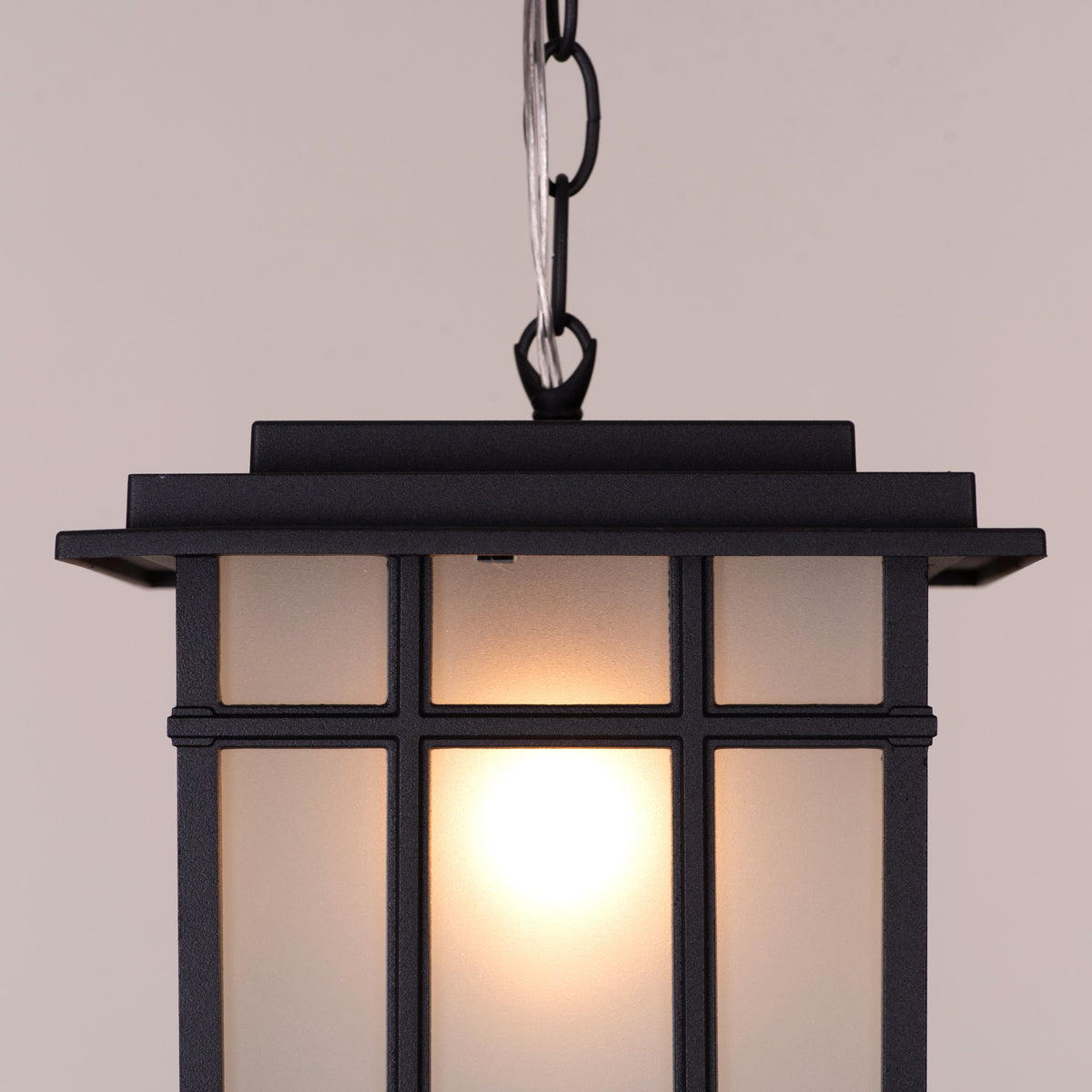Looking Away (Black) Outdoor Pendant Light