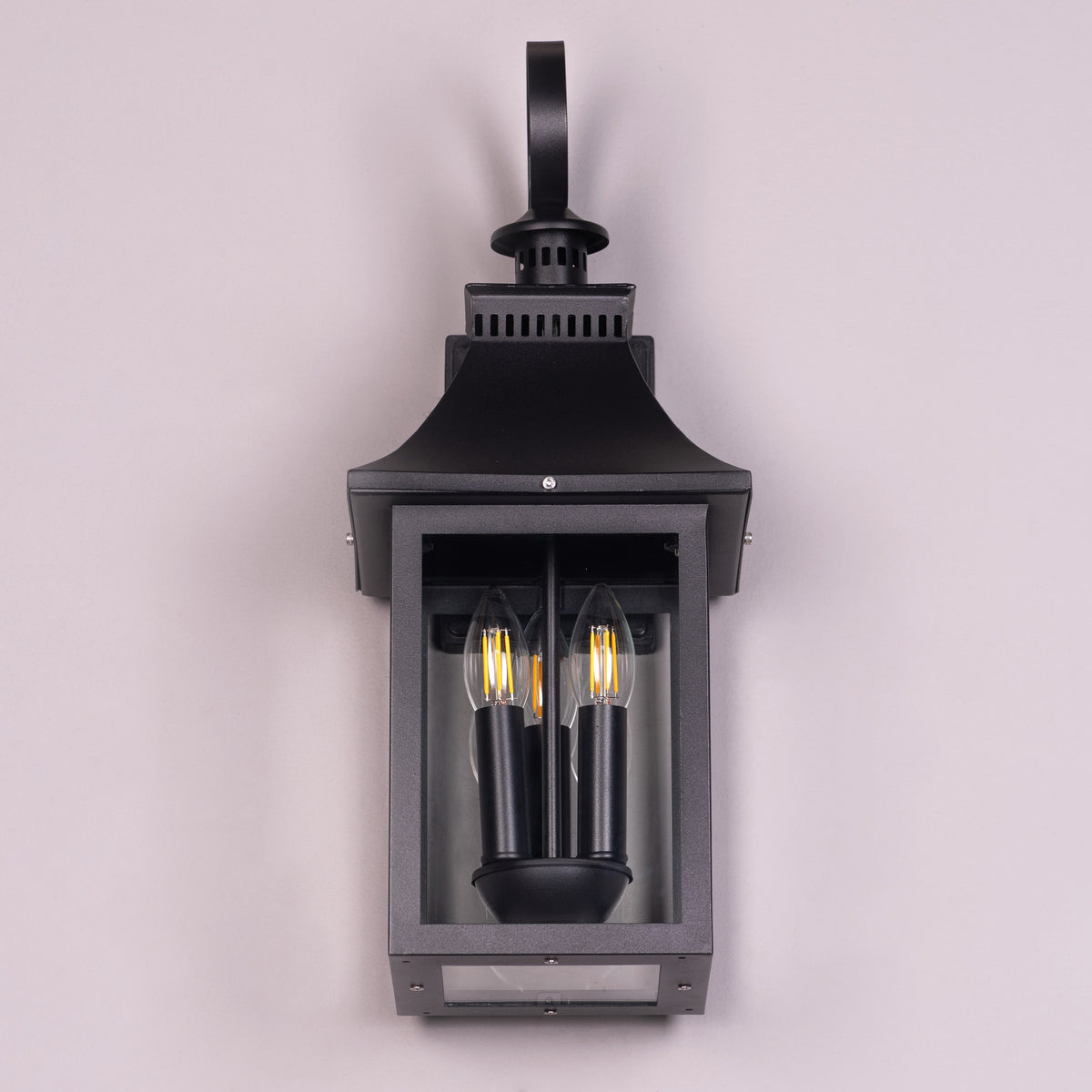 Good For You (Black) Clear Glass Outdoor Covered Wall Light