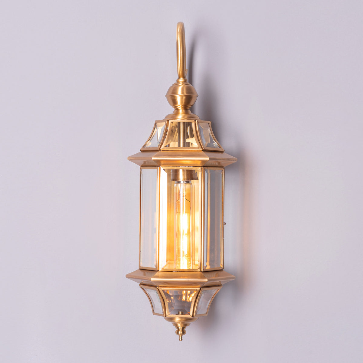 Flame To A Moth (Copper) Outdoor Shade Area Wall Light