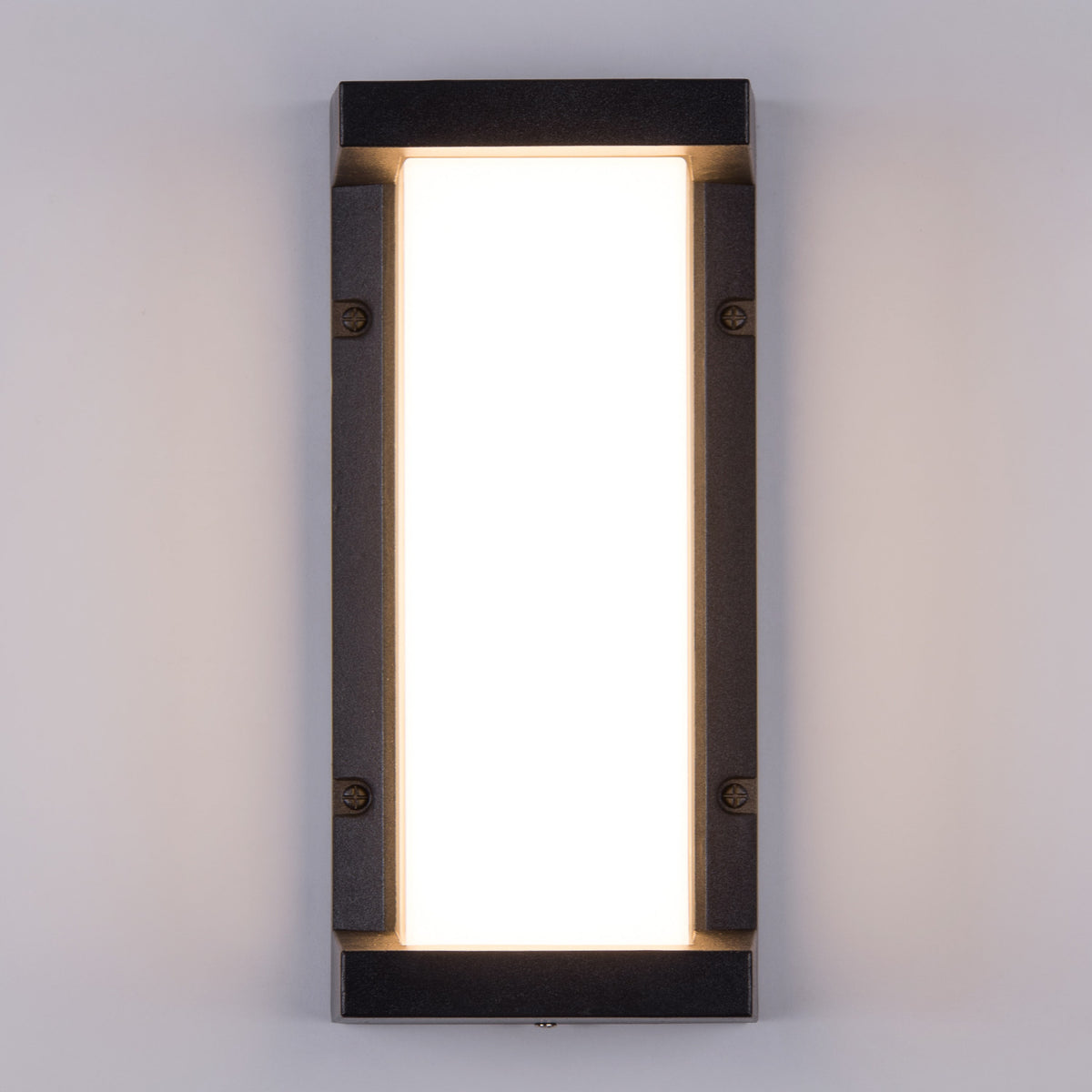 Come Alive (Big, Black, LED) Outdoor Wall Light