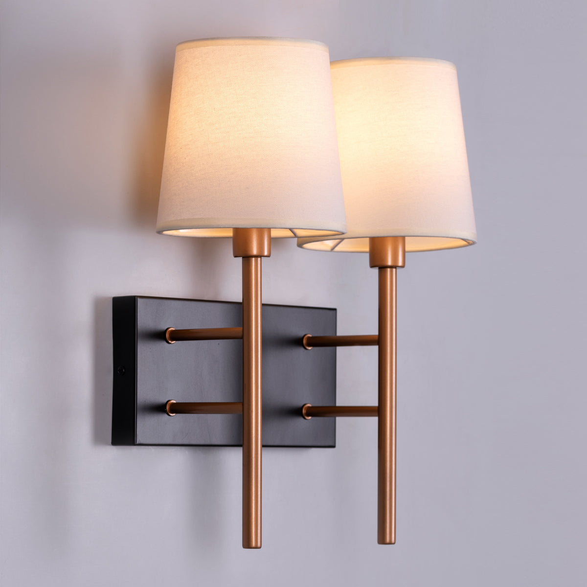Dream Duo (Black, Gold) Wall Light
