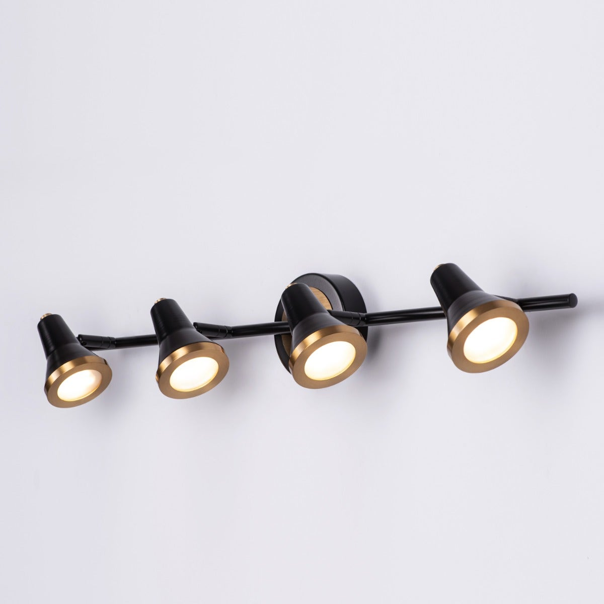 Beautiful Lives (Large, Black, Built-In LED) Picture Light