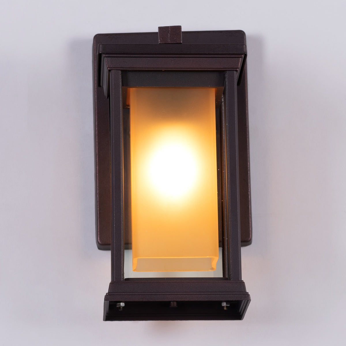 Choose Wisely (Coffee) Indoor / Outdoor Wall Light