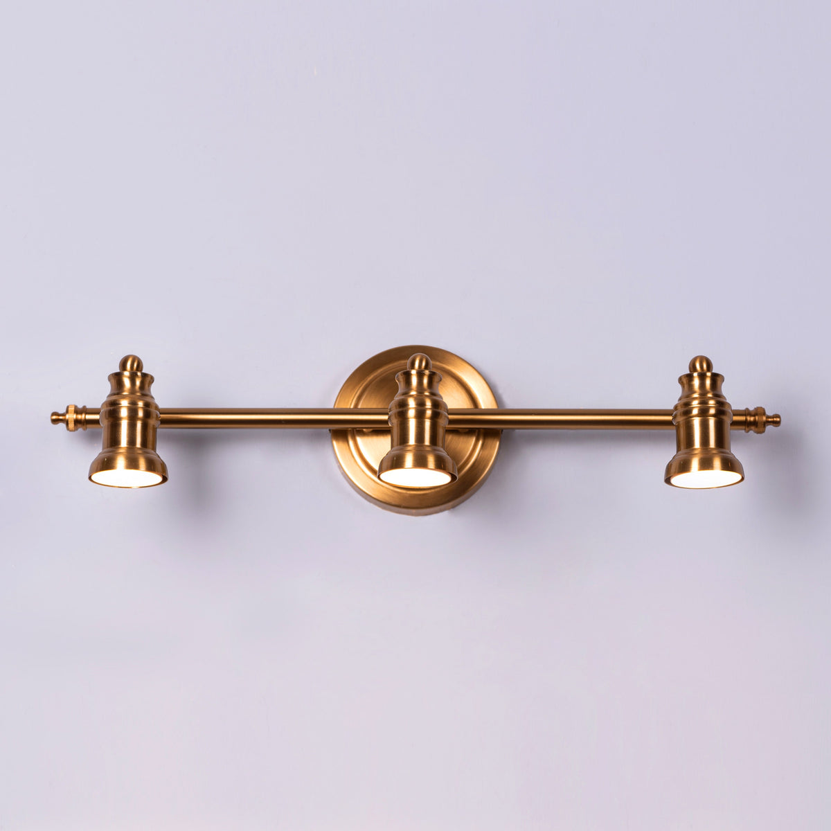 Beautiful Lives (Medium, Gold, Built-In LED) Picture Light